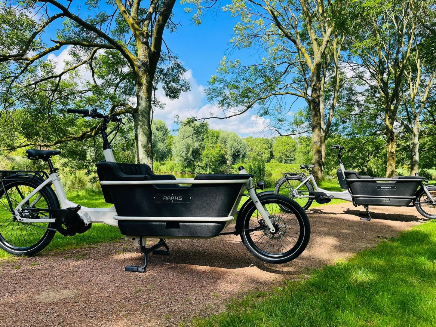 Raaks Rover elektrische bakfiets tweewieler middenmotor - ivor white - Afbeelding 15