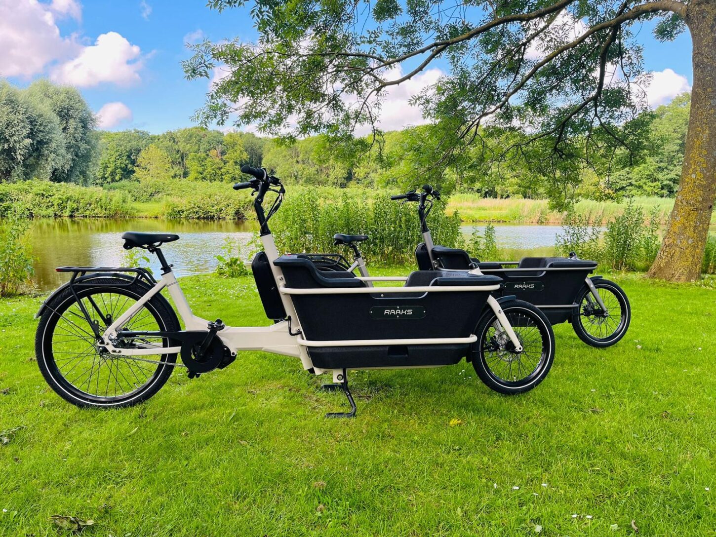 Raaks Rover elektrische bakfiets tweewieler middenmotor - ivor white - Afbeelding 4