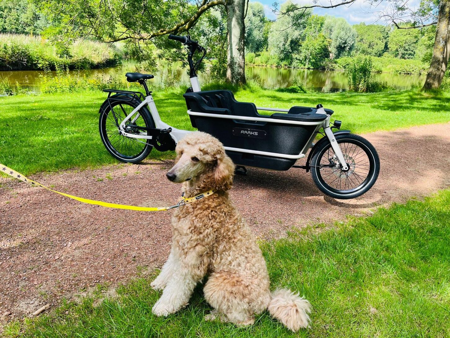 Raaks Rover elektrische bakfiets tweewieler middenmotor - ivor white - Afbeelding 10