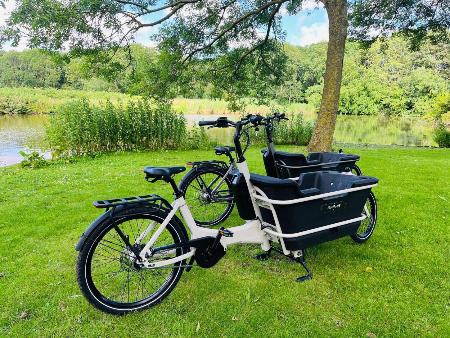 Raaks Rover elektrische bakfiets tweewieler middenmotor - ivor white - Afbeelding 2