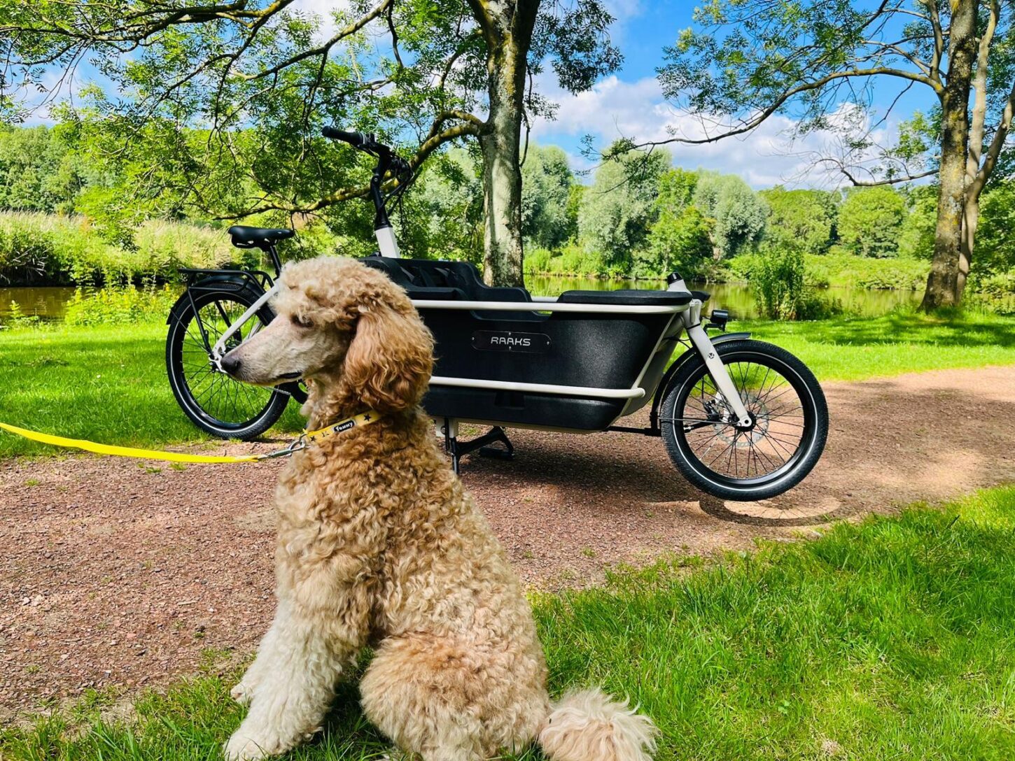 Raaks Rover elektrische bakfiets tweewieler middenmotor - ivor white - Afbeelding 11